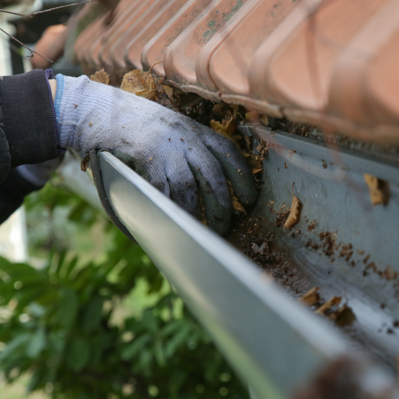 entretien des gouttières vosges 88 entretien des gouttières vosges 88